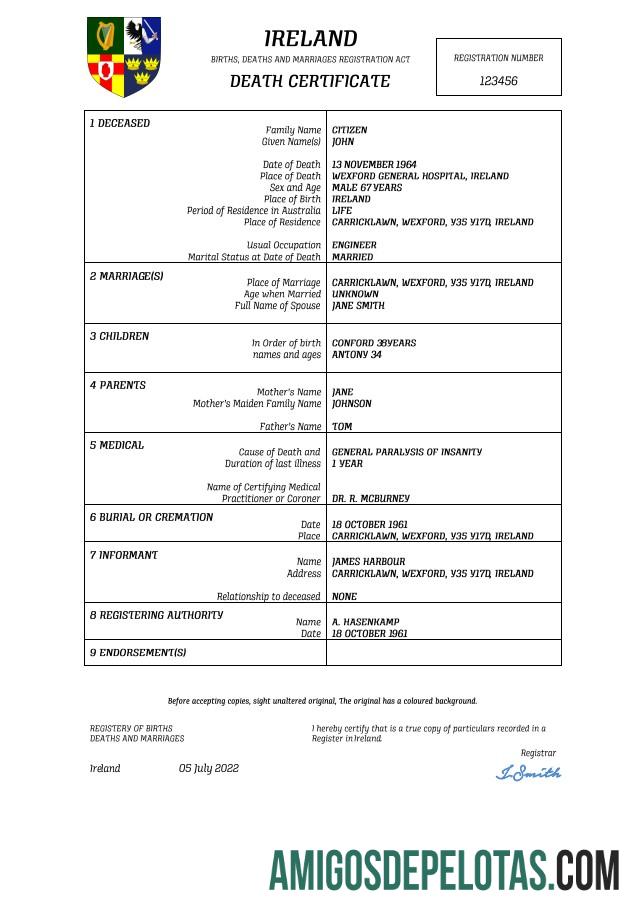 Em branco modelo Word e PDF de certidão de óbito de registro vital da Irlanda